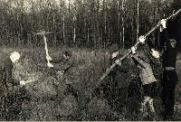 50174_P86.jpg 50174_P86.jpg
