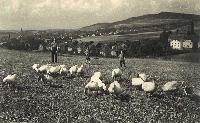50401_P84.jpg 50401_P84.jpg