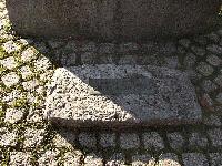 57292.jpg 57292.jpg