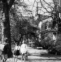 50695_P27.jpg 50695_P27.jpg
