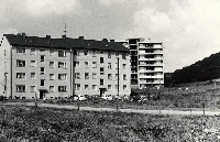 50534_P48.jpg 50534_P48.jpg