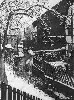 50088_P81.jpg 50088_P81.jpg