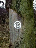 Wegezeichen am Sch�lk